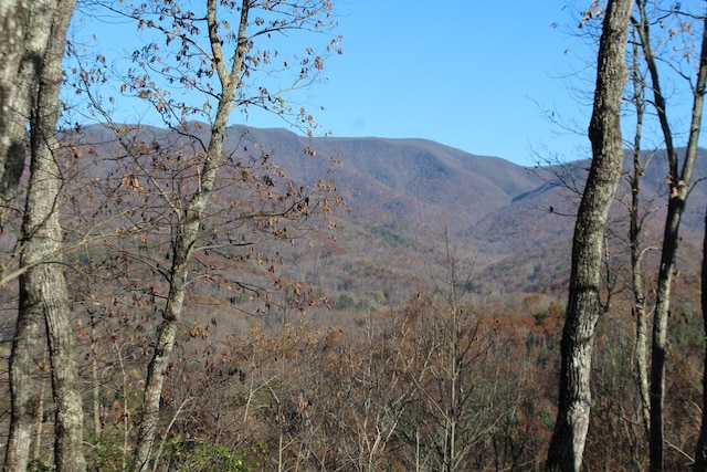 2 Gabriel Rdg, Hayesville, NC 28904