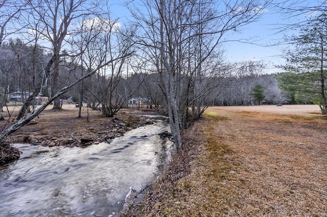 3.2AC Stanley Creek Rd, Blue Ridge GA, 30513 land for sale