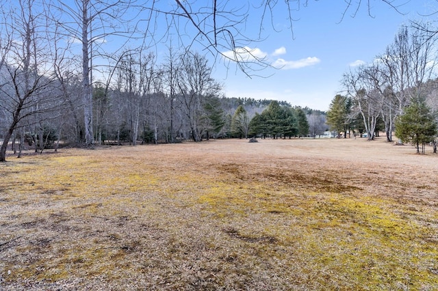 Listing photo 2 for 3.2AC Stanley Creek Rd, Blue Ridge GA 30513