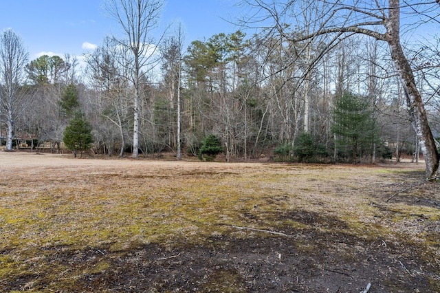 Listing photo 3 for 3.2AC Stanley Creek Rd, Blue Ridge GA 30513