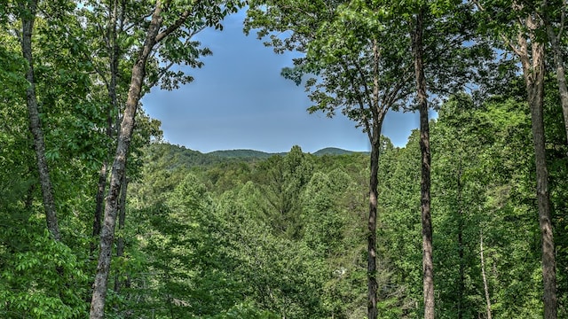 view of mountain feature