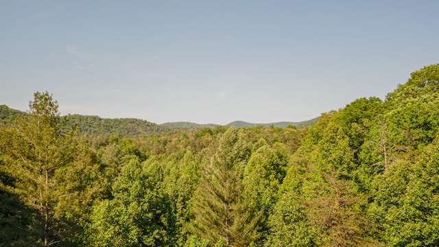 view of local wilderness