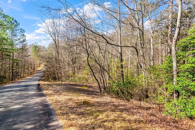 Listing photo 3 for LOT9 E Ridge Ln, Ellijay GA 30536