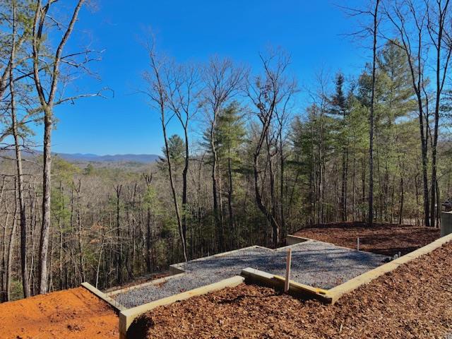 view of yard featuring a view of trees