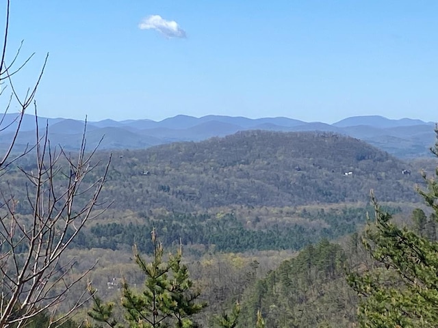 LOT31 Crested Eagle Ln, Murphy NC, 28906 land for sale