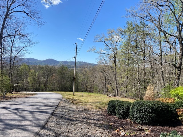 Listing photo 3 for LOT31 Crested Eagle Ln, Murphy NC 28906