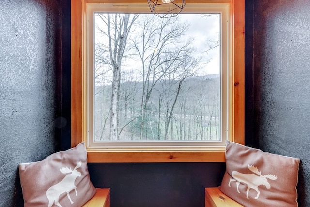 38 Smoky Mtn Rdg, Marble, NC 28905 - view of living area