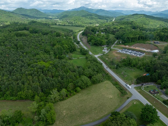 24/26 Mcglamery Farm Dr, Hayesville, NC 28904