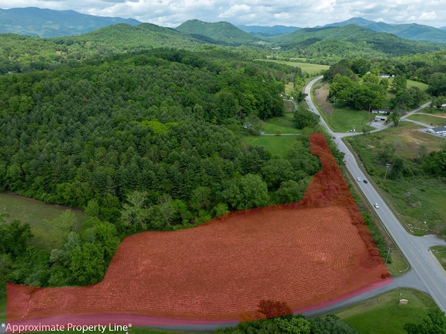 24/26 Mcglamery Farm Dr, Hayesville, NC 28904