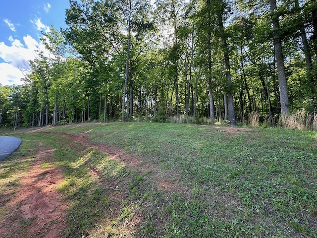 Address Not Disclosed, Blairsville GA, 30512 land for sale