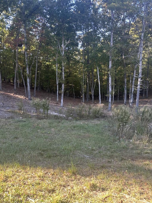 LOT42 Ridge Dr, Morganton GA, 30560 land for sale