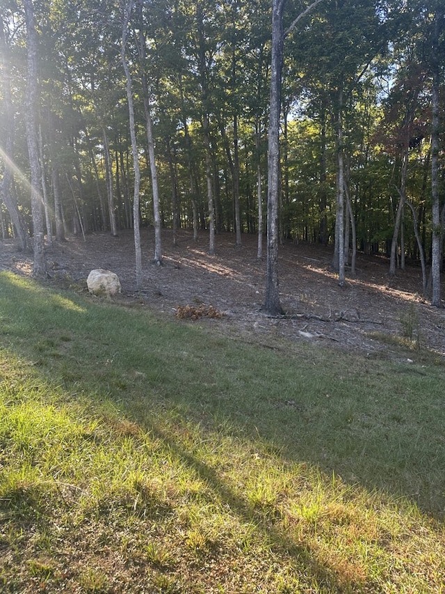 Listing photo 2 for LOT42 Ridge Dr, Morganton GA 30560