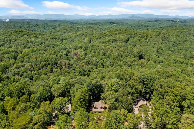 drone / aerial view with a mountain view