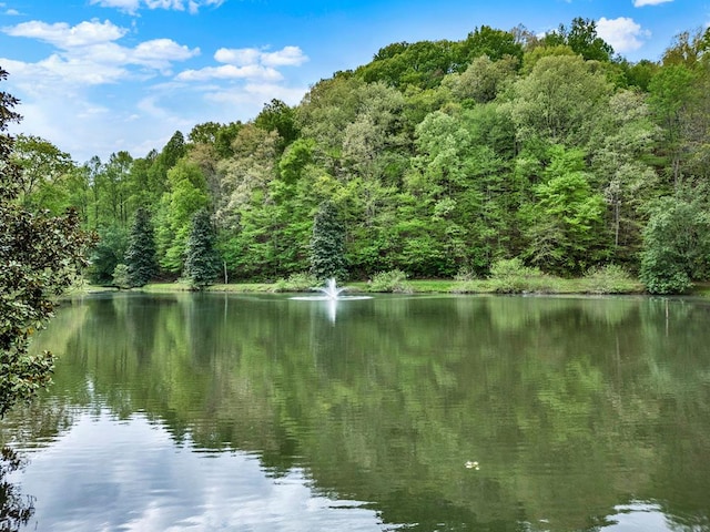 water view