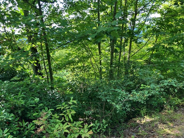 Listing photo 3 for LOT10 Brasstown Hts, Murphy NC 28906