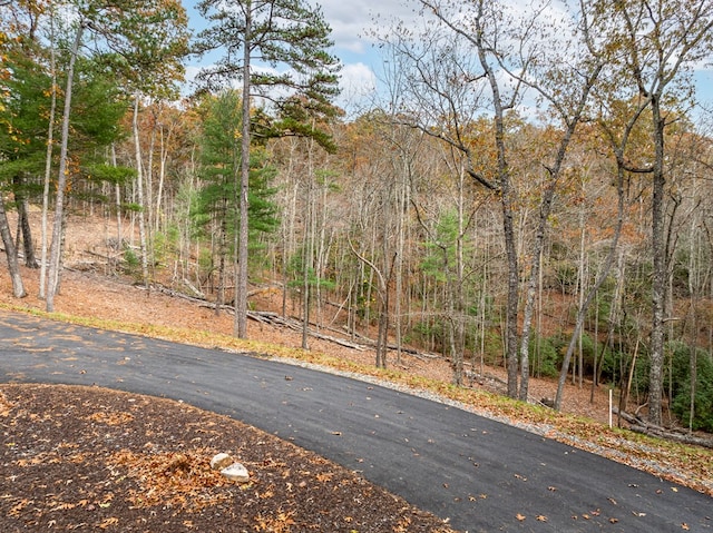 Listing photo 2 for LOT15 Briar Creek Ct, Morganton GA 30560