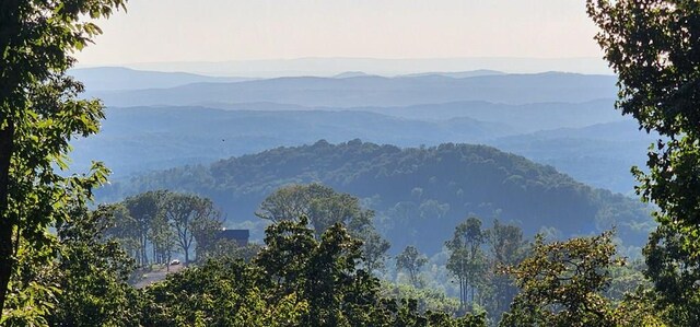 LOT38 High Summit Dr, Talking Rock, GA 30175