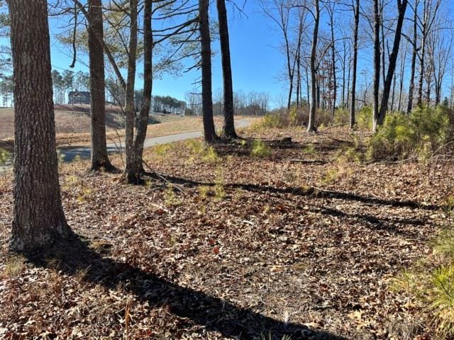 LOT5 High Riv, Ellijay GA, 30540 land for sale