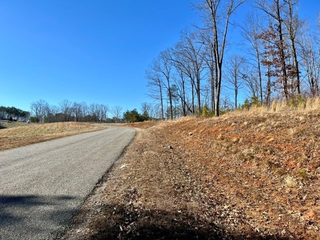 Listing photo 3 for LOT5 High Riv, Ellijay GA 30540