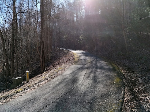 Listing photo 3 for LOTE5 Flat Rock Gap Rd, Blairsville GA 30512