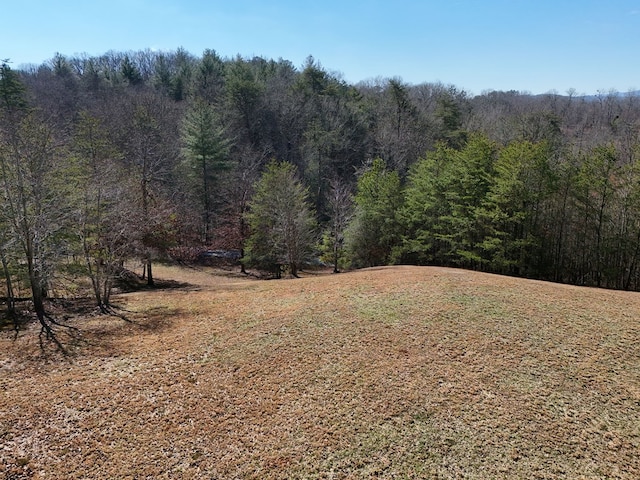 Listing photo 2 for LT13/14 S Williamstown Rdg, Mineral Bluff GA 30559