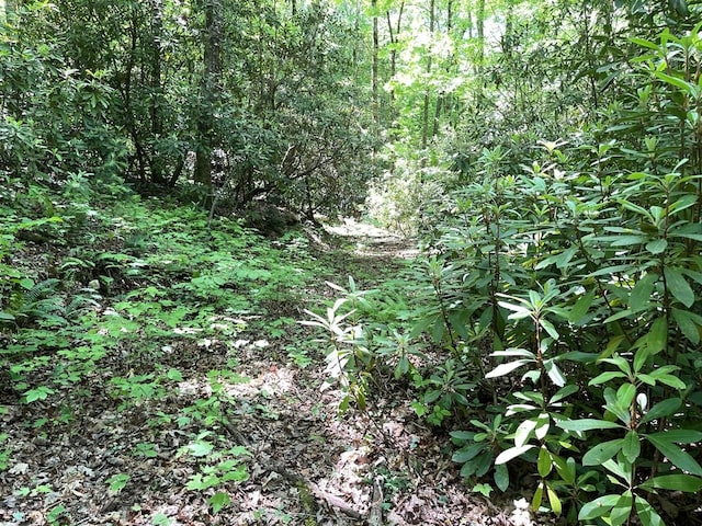 00 Cold Springs Ln, Hayesville, NC 28904