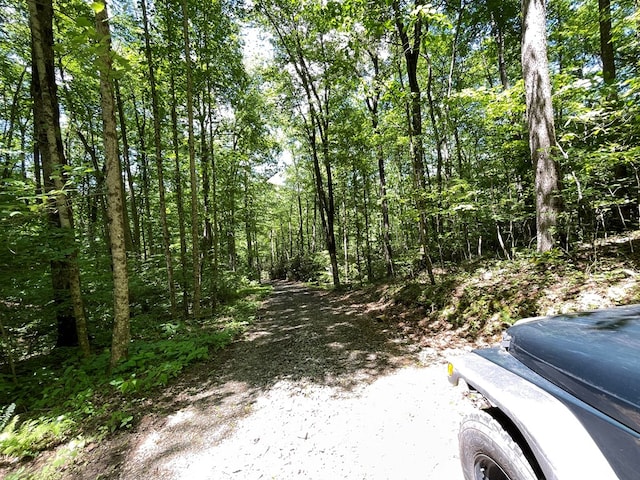00 Cold Springs Ln, Hayesville, NC 28904
