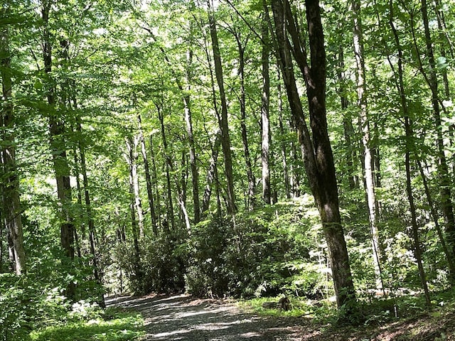 00 Cold Springs Ln, Hayesville, NC 28904