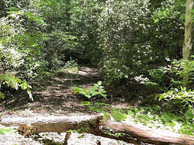 00 Cold Springs Ln, Hayesville, NC 28904