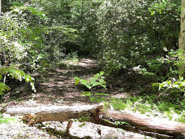 00 Cold Springs Ln, Hayesville, NC 28904