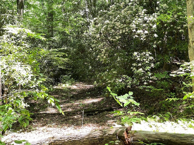 00 Cold Springs Ln, Hayesville, NC 28904