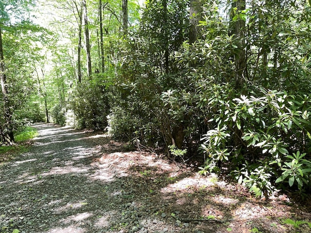 00 Cold Springs Ln, Hayesville, NC 28904