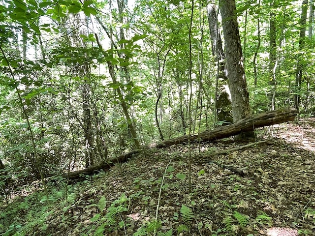 00 Cold Springs Ln, Hayesville, NC 28904