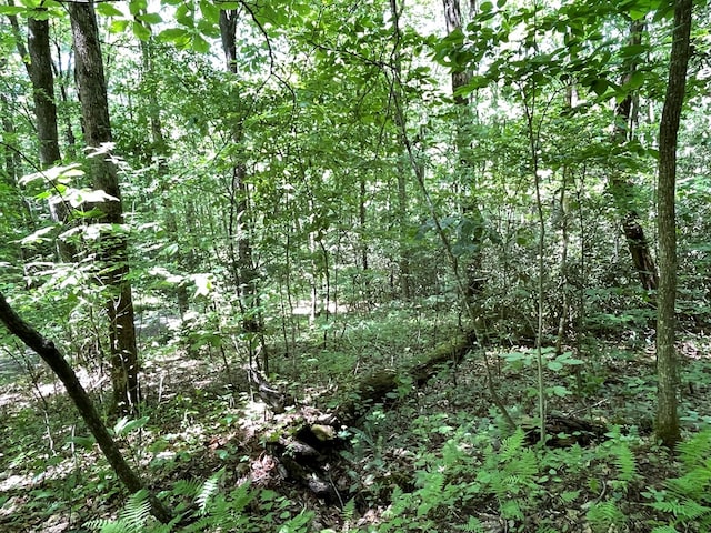 00 Cold Springs Ln, Hayesville, NC 28904