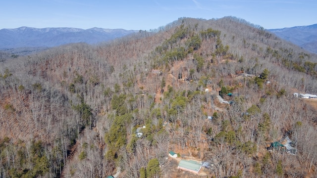 property view of mountains