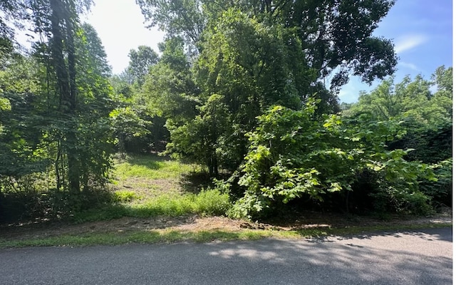 LOT106 W River Trce, Ellijay GA, 30536 land for sale