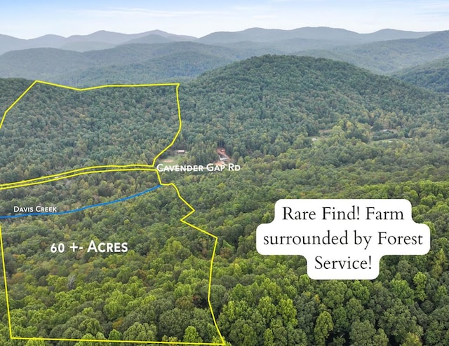 1955 Cavender Gap Rd, Suches GA, 30572 land for sale