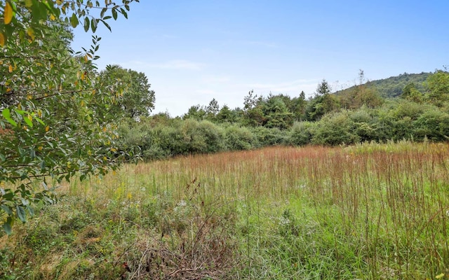 Listing photo 2 for 1955 Cavender Gap Rd, Suches GA 30572