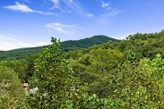 view of mountain backdrop with a forest