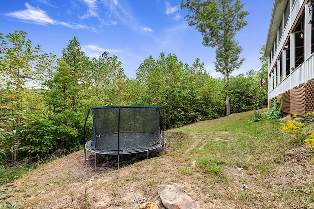 view of yard featuring a trampoline