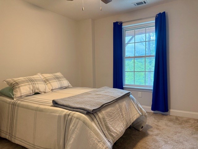 405 Lola Dr, Blairsville, GA 30512 - bedroom featuring carpet floors, multiple windows, baseboards, and ceiling fan