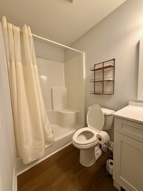 405 Lola Dr, Blairsville, GA 30512 - bathroom with wood finished floors, toilet, vanity, and a shower with shower curtain