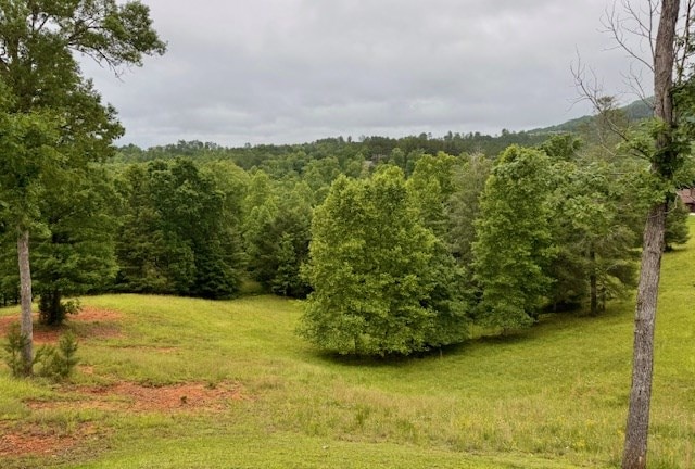 405 Lola Dr, Blairsville, GA 30512 - view of yard featuring a view of trees