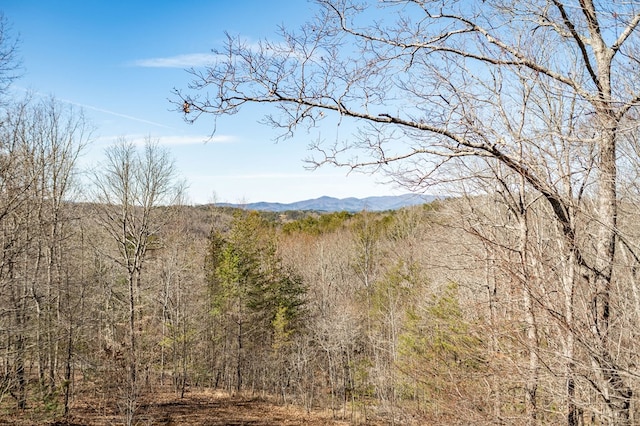 property view of mountains featuring a forest view