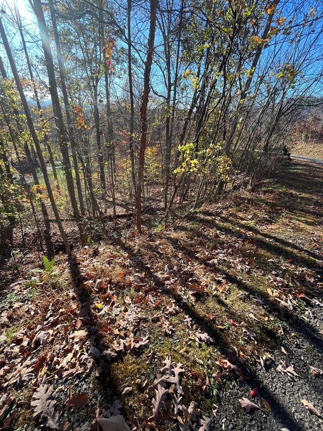 14M Ridges Overlook, Hayesville, NC 28904