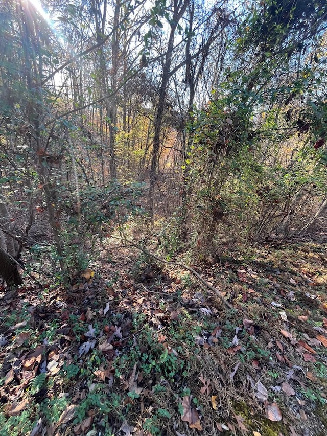 14M Ridges Overlook, Hayesville, NC 28904