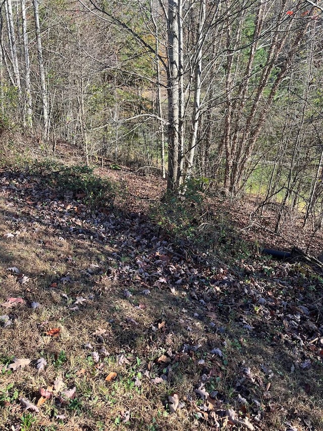 14M Ridges Overlook, Hayesville, NC 28904