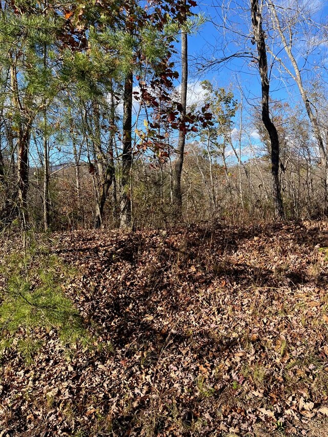 14M Ridges Overlook, Hayesville, NC 28904