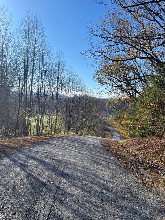 14M Ridges Overlook, Hayesville, NC 28904