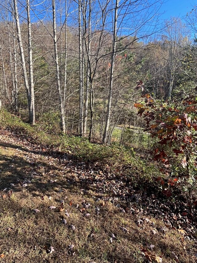 14M Ridges Overlook, Hayesville, NC 28904